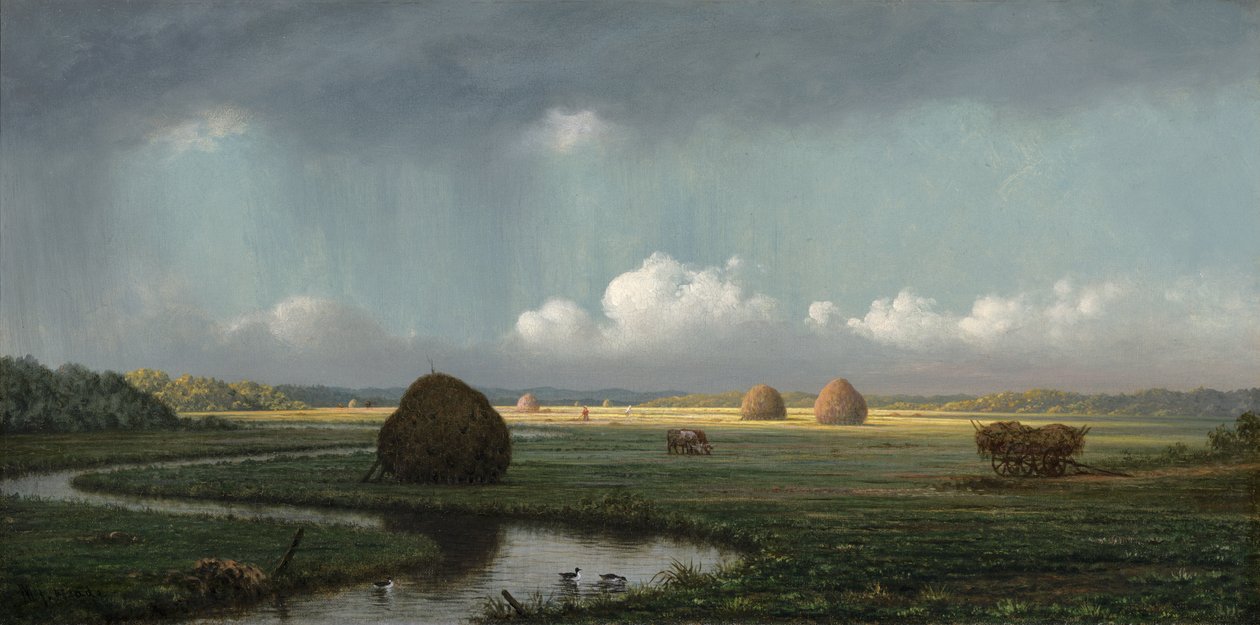 Chuveiro repentino, Newbury Marshes, 1865-75 de Martin Johnson Heade