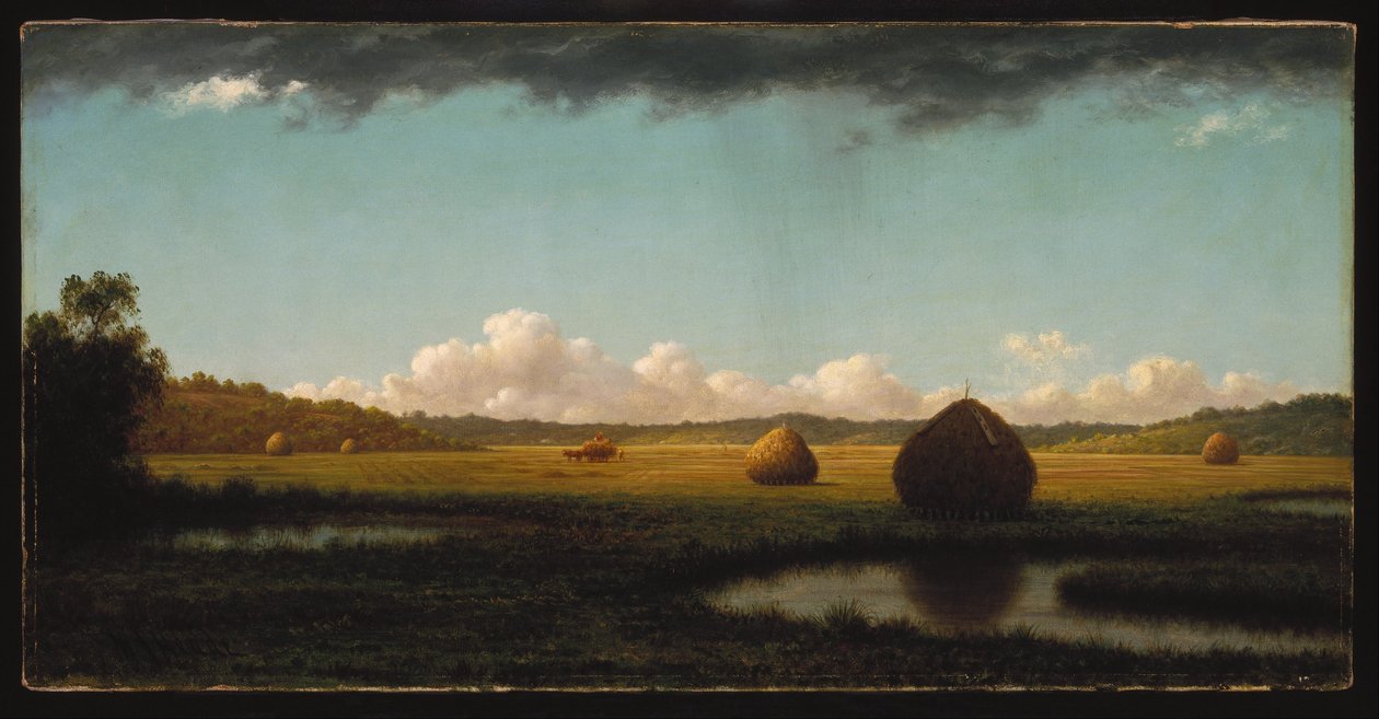 Chuveiros de verão de Martin Johnson Heade