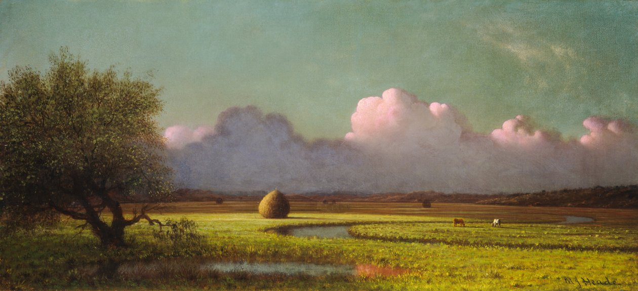 Luz do sol e sombra: os pântanos de Newbury de Martin Johnson Heade
