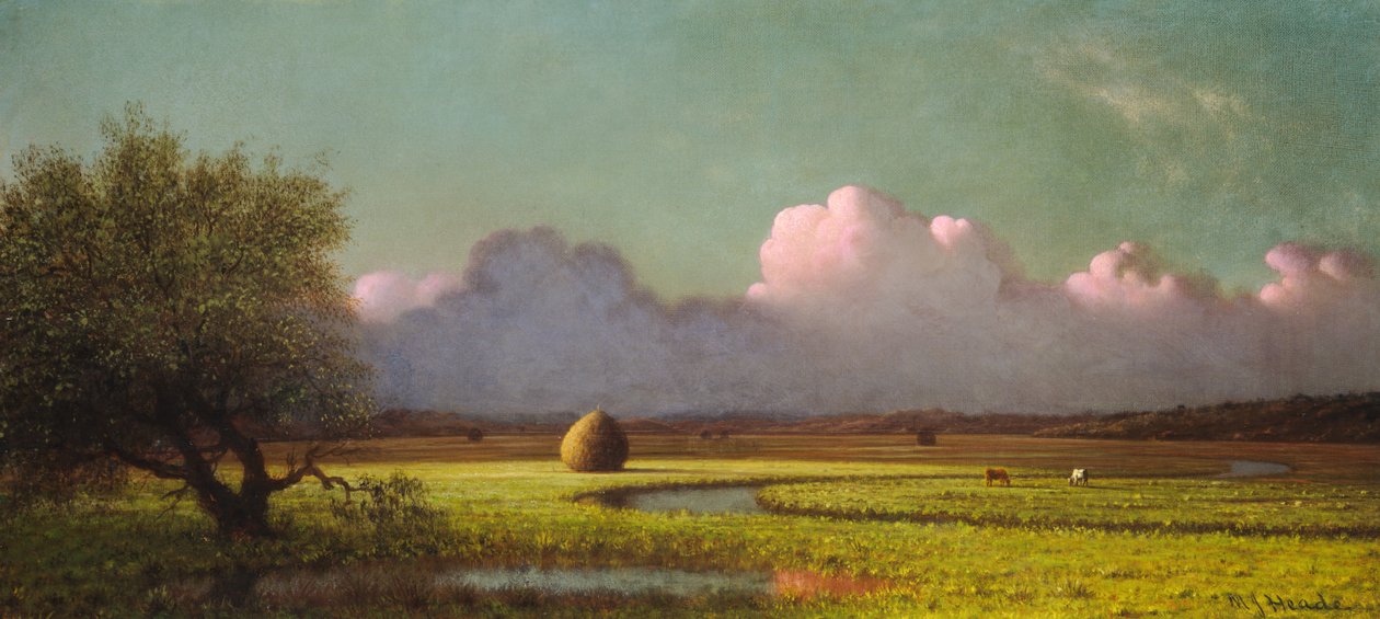 Luz do sol e sombra: os pântanos de Newbury de Martin Johnson Heade