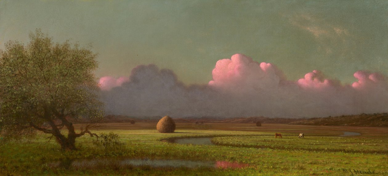 Luz solar e sombra: os pântanos de Newbury de Martin Johnson Heade
