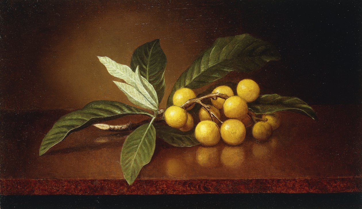 Ameixas Tropicais, de Martin Johnson Heade