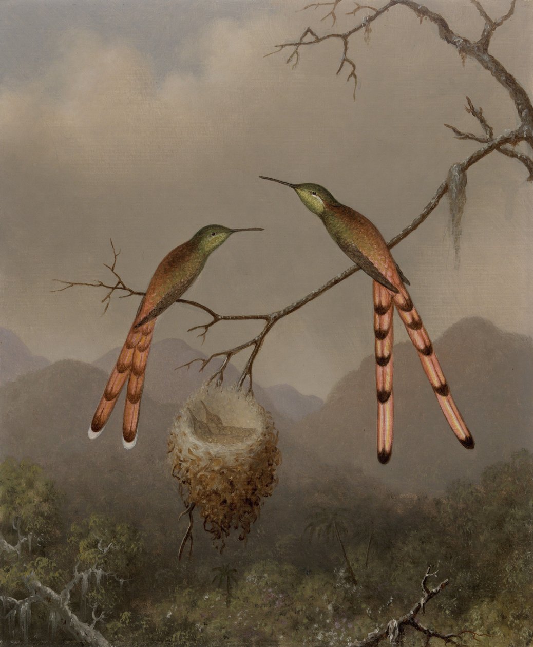 Dois colibris com as suas crias de Martin Johnson Heade