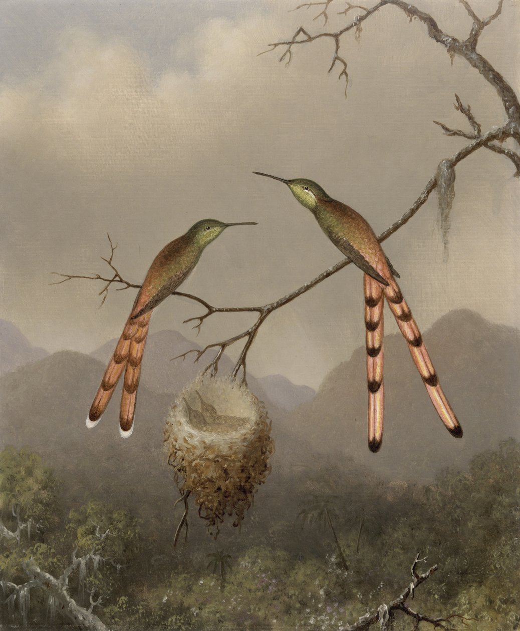 Dois beija-flores com seus filhotes, c.1865 de Martin Johnson Heade