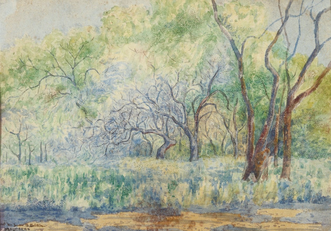 Paisagem de Martín Malharro