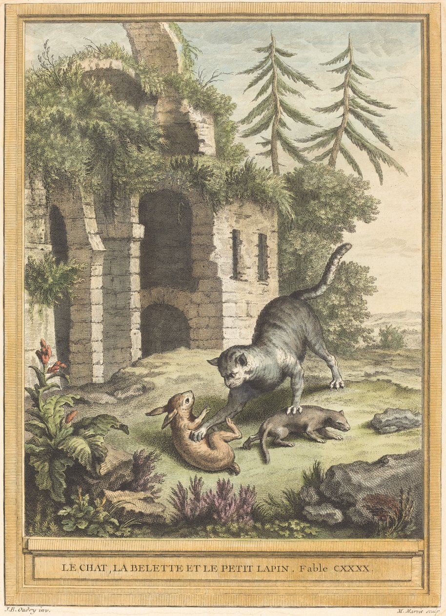 Le chat, la belette et le petit lapin (O gato, a doninha e o coelho) de Martin Marvie after Jean Baptiste Oudry
