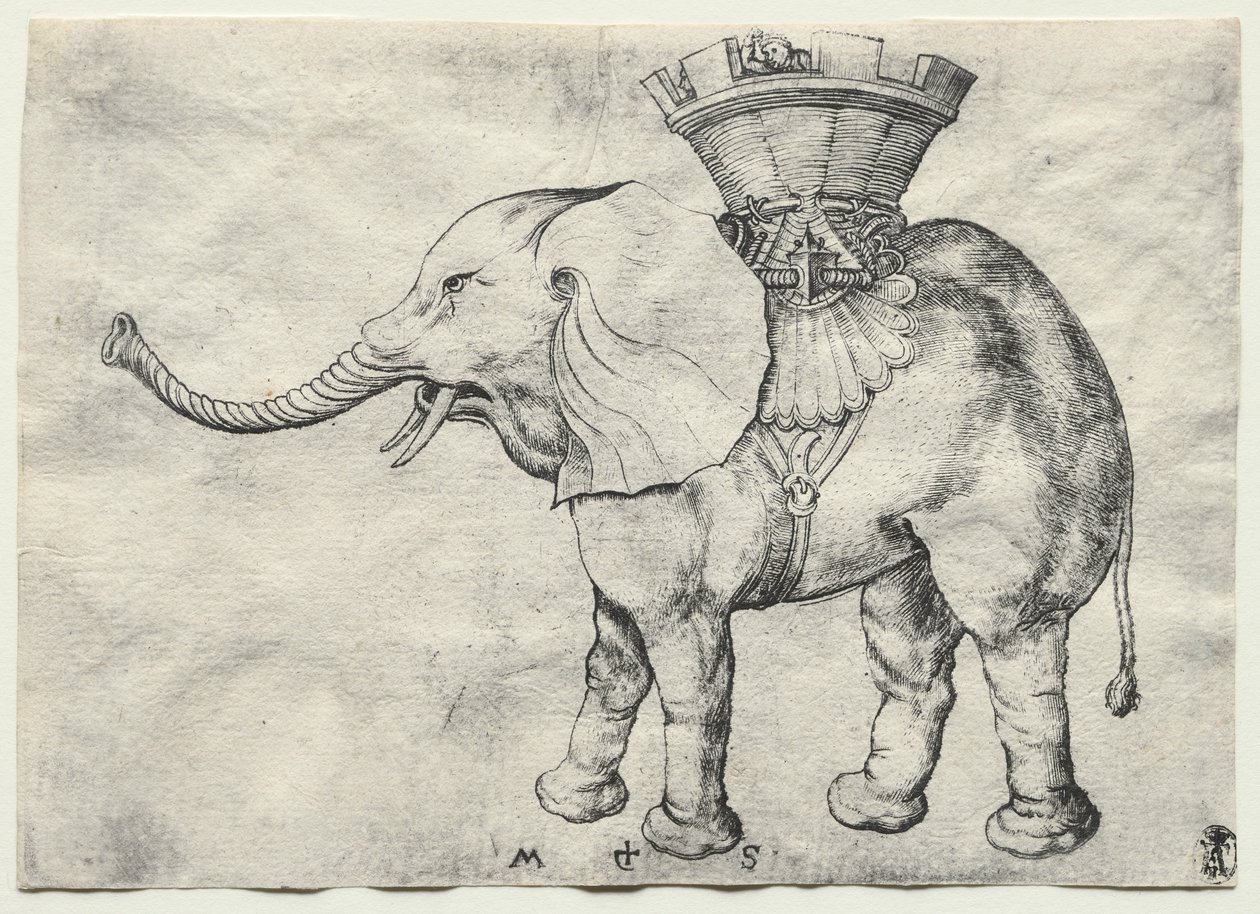 Um elefante com Howdah, c. 1485 de Martin Schongauer