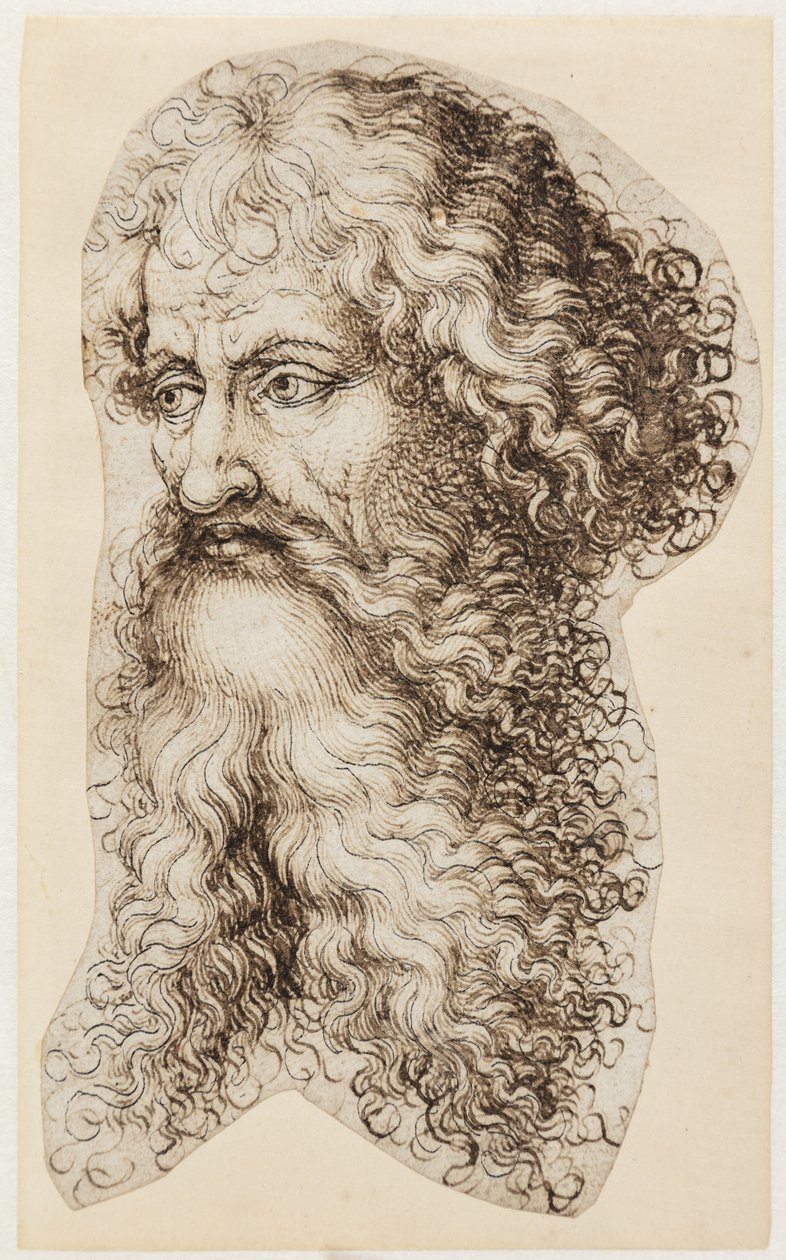 Cabeça de homem barbudo em perfil de três quartos à esquerda de Martin Schongauer