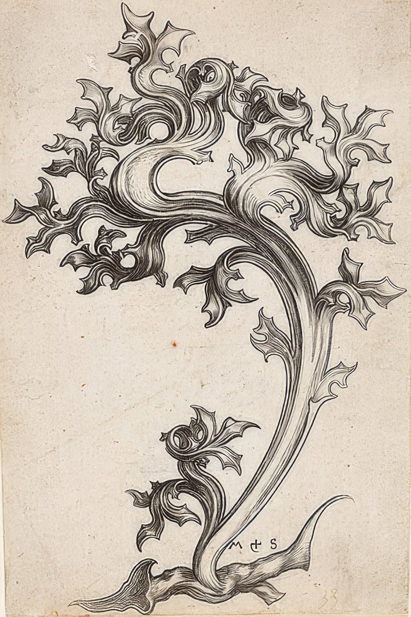 Ornamento de folhas de um cardo de Martin Schongauer