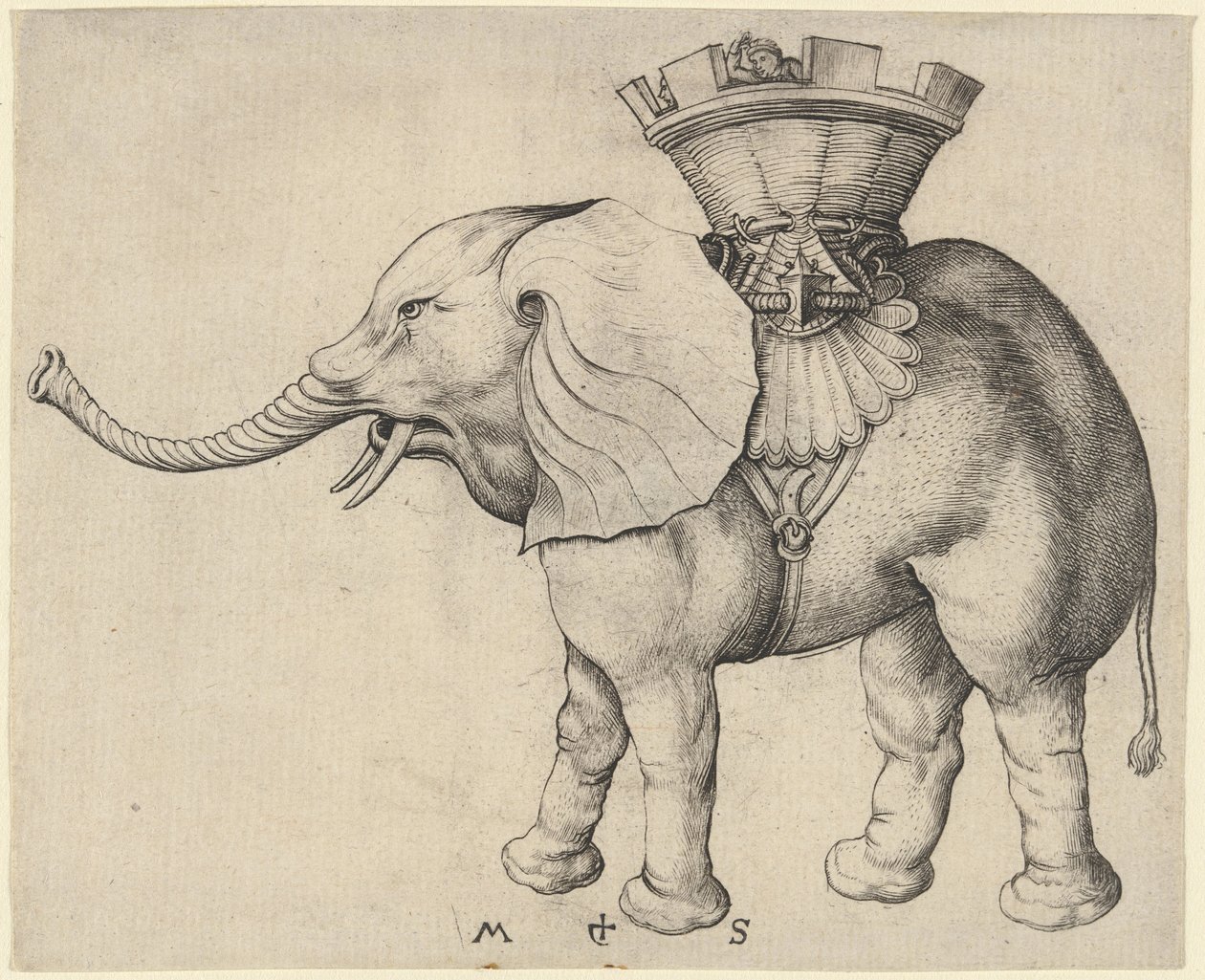 Elefanta de Martin Schongauer