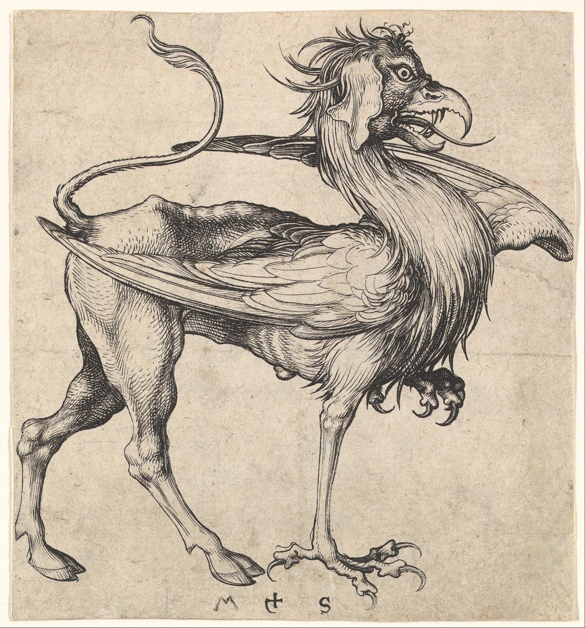 Griffin, ca. 1435-1491. de Martin Schongauer