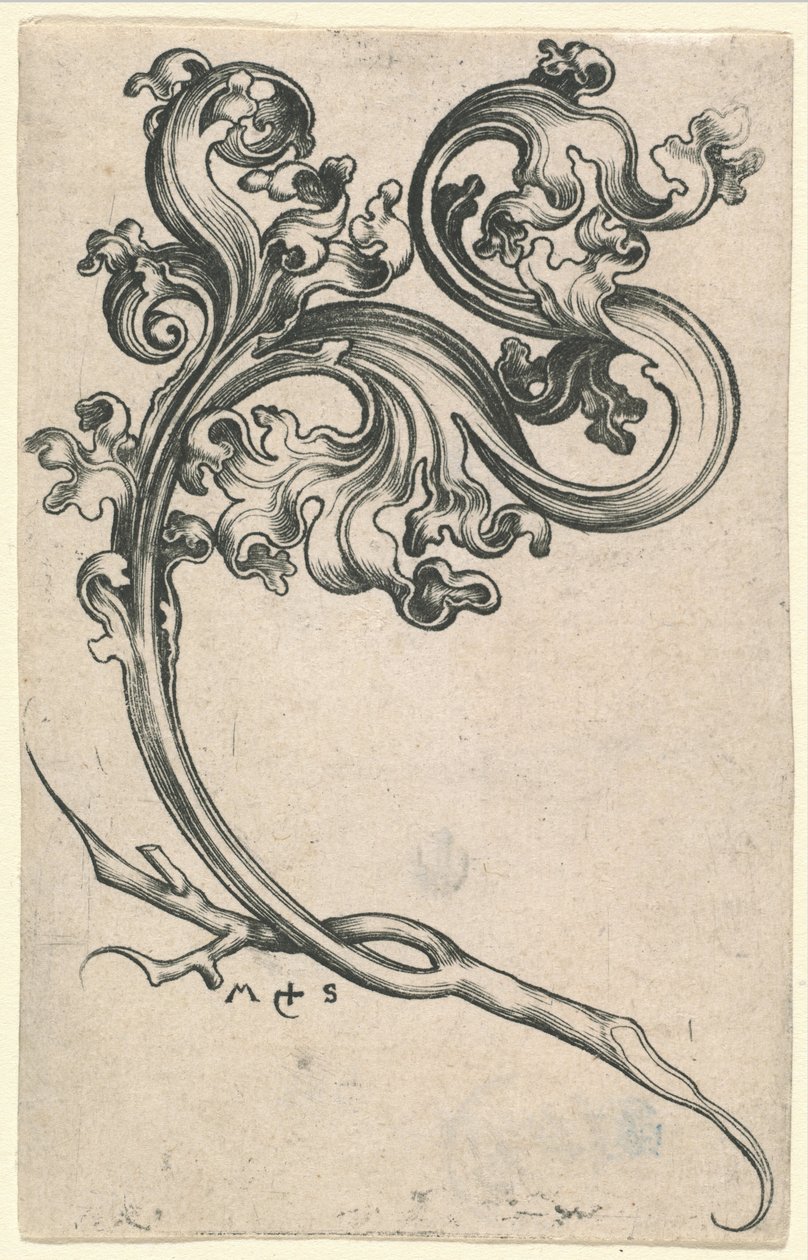 Ornamento de folha de Martin Schongauer