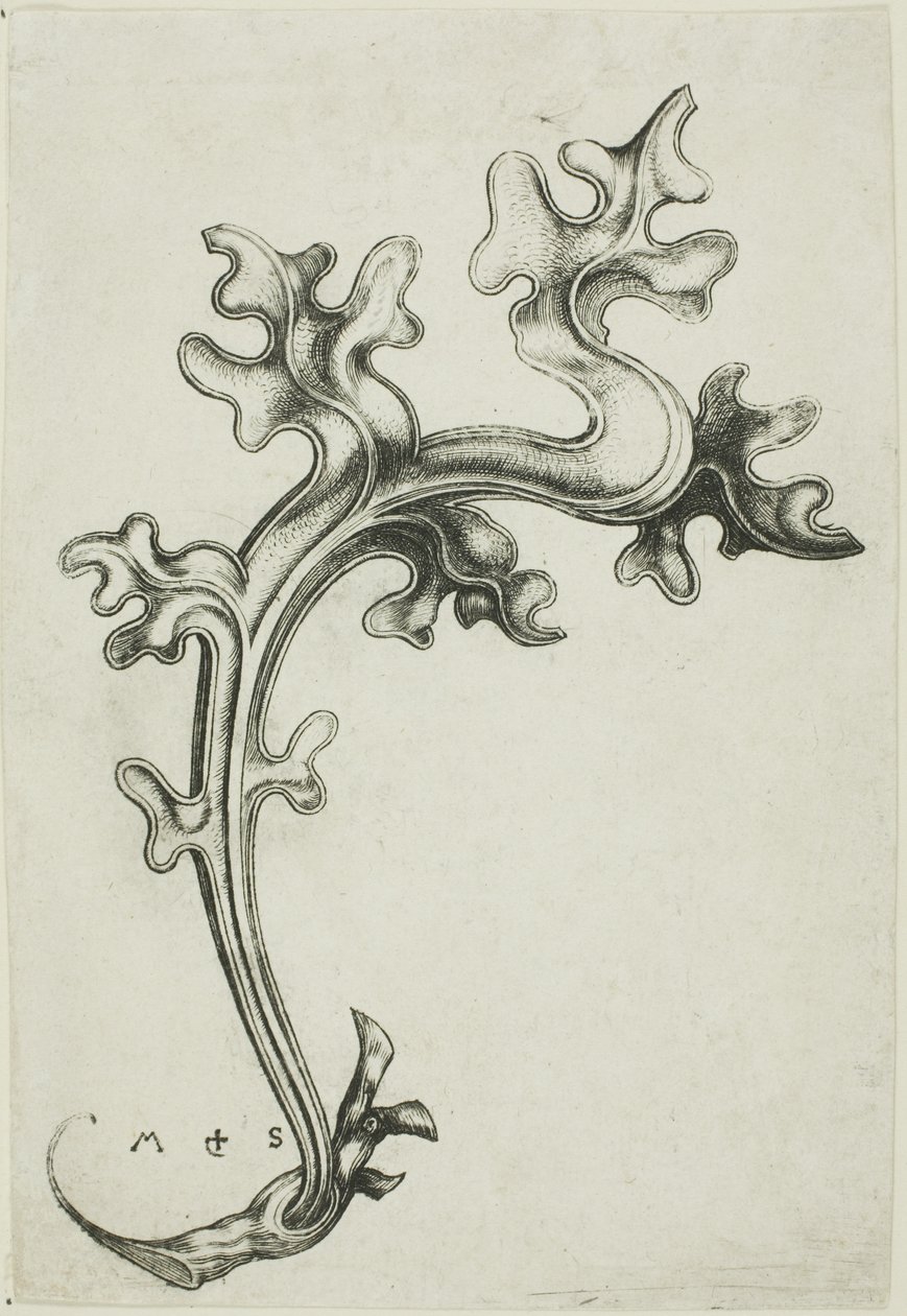 Ornamento de folhas de Martin Schongauer