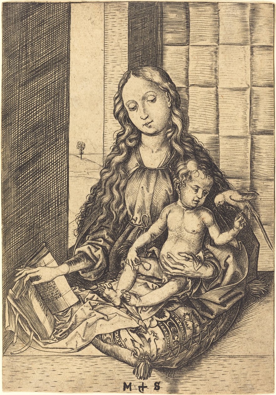 Madonna com um papagaio de Martin Schongauer