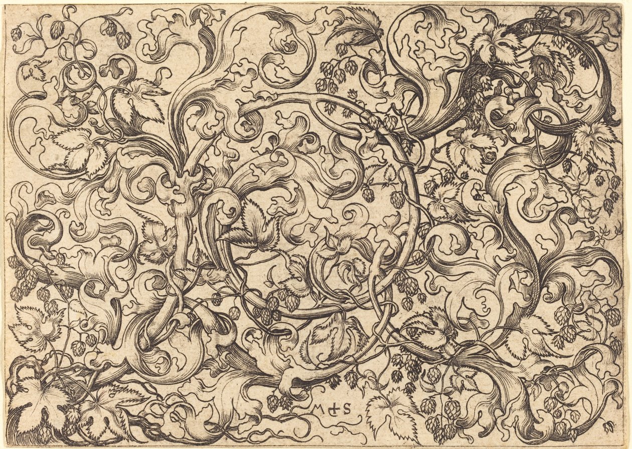 Ornamento com videira de lúpulo de Martin Schongauer