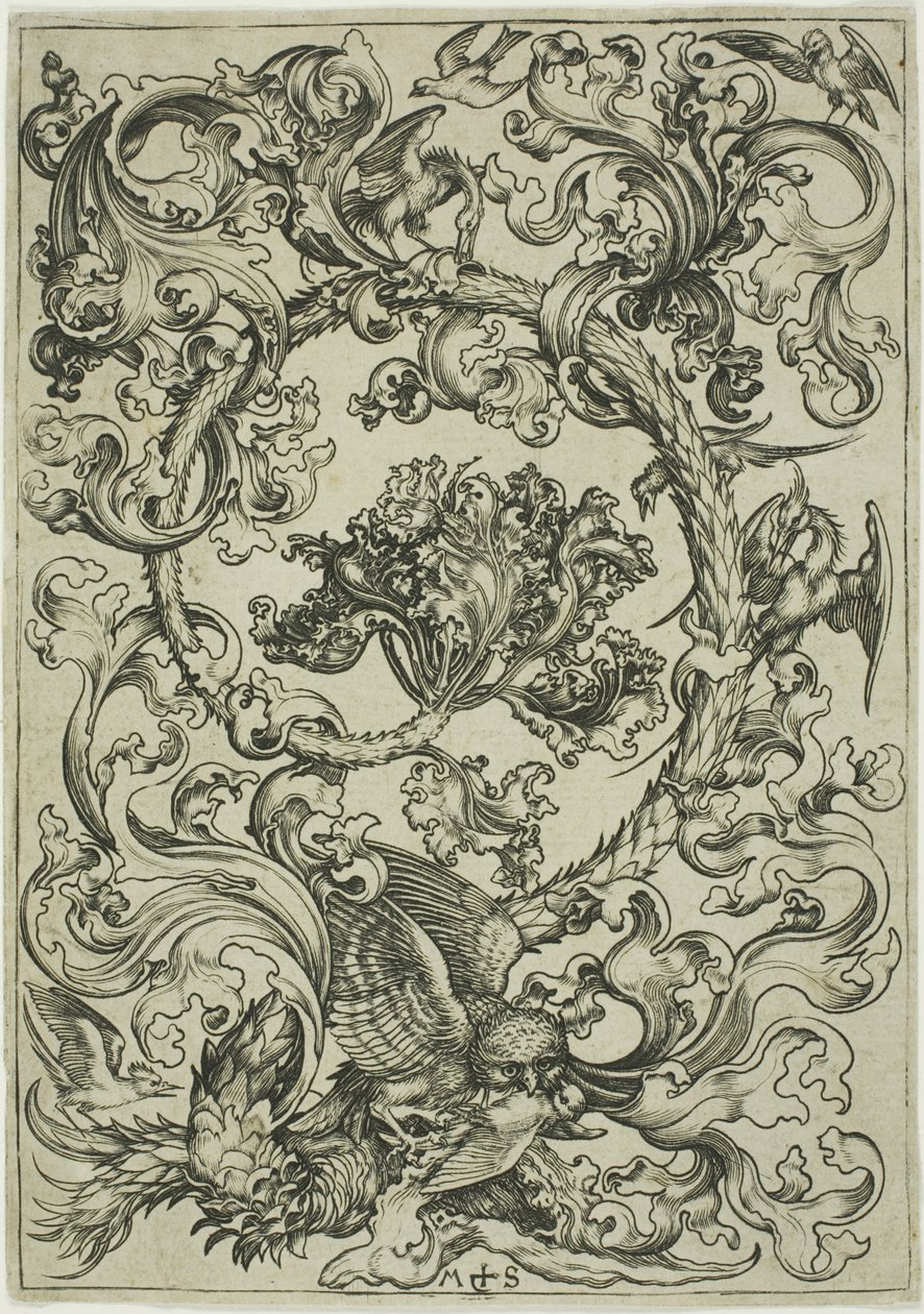 Ornamento com coruja a gozar com as aves diurnas de Martin Schongauer