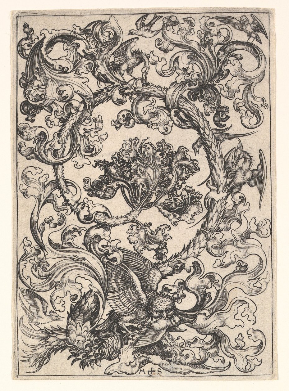 Ornamento com coruja zombada por pássaros do dia, ca. 1435-1491. de Martin Schongauer