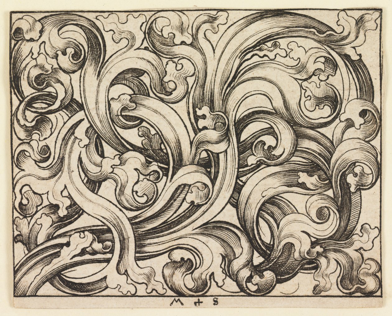 Preenchimento horizontal em um fundo claro (ornamento horizontal) de Martin Schongauer