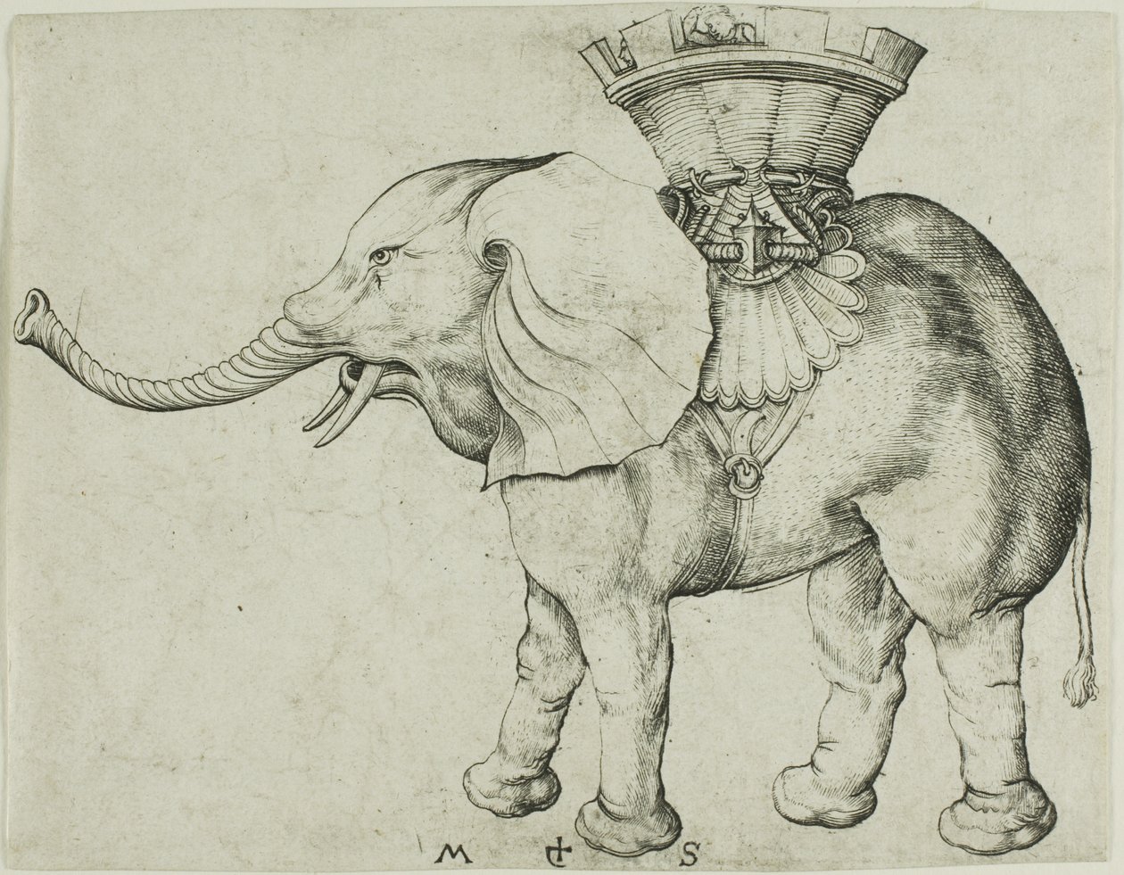 O Elefante de Martin Schongauer