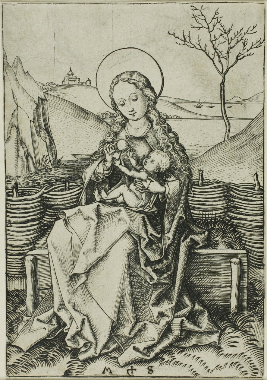 A Madona e o Menino num banco de relva de Martin Schongauer