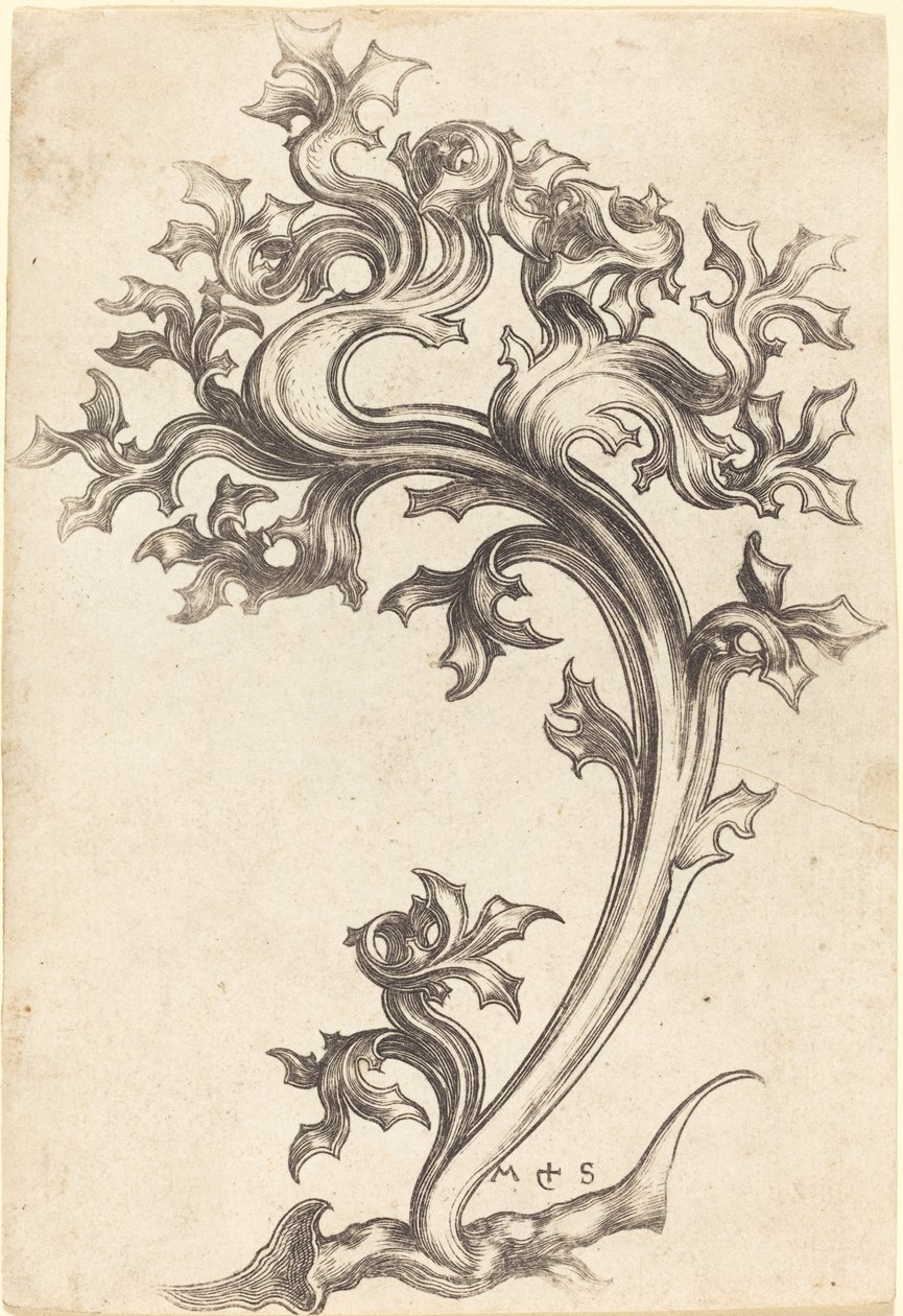 Ornamento de Cardo de Martin Schongauer