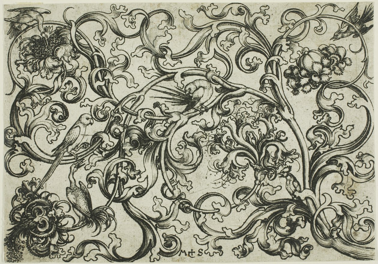 Ornamento de videira com papagaios e pássaros de Martin Schongauer