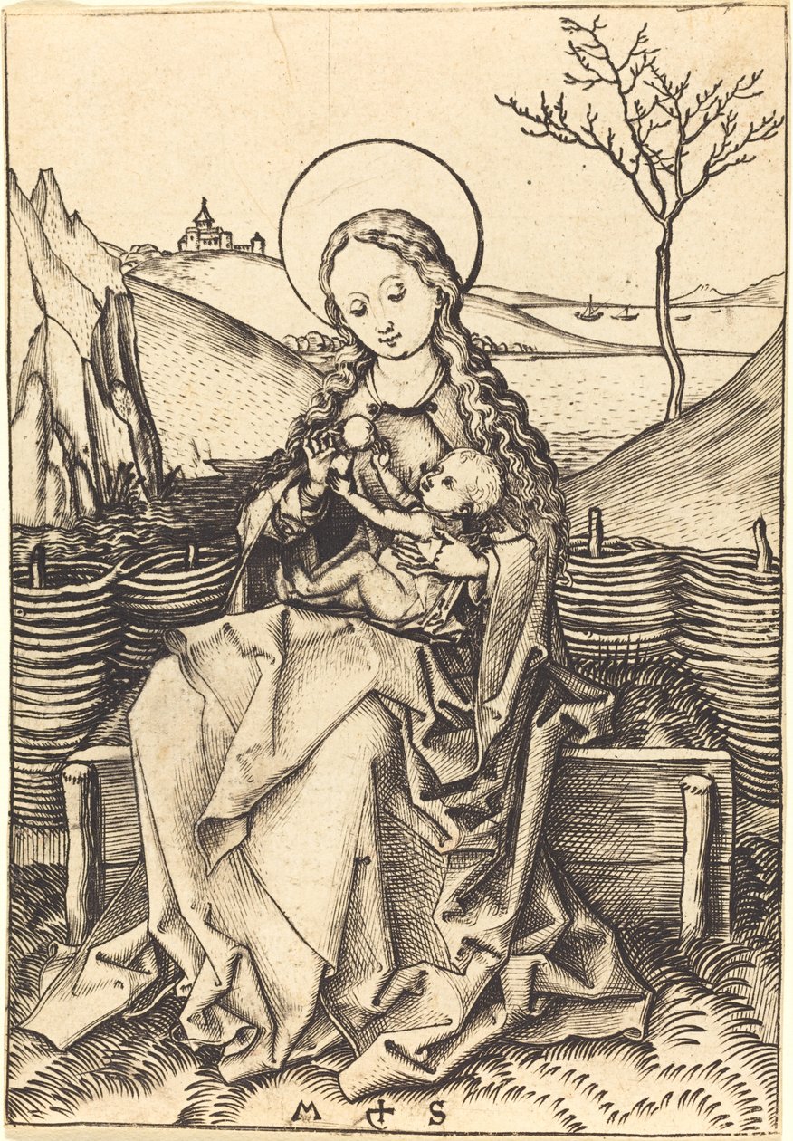 Virgem e criança em um banco gramado de Martin Schongauer