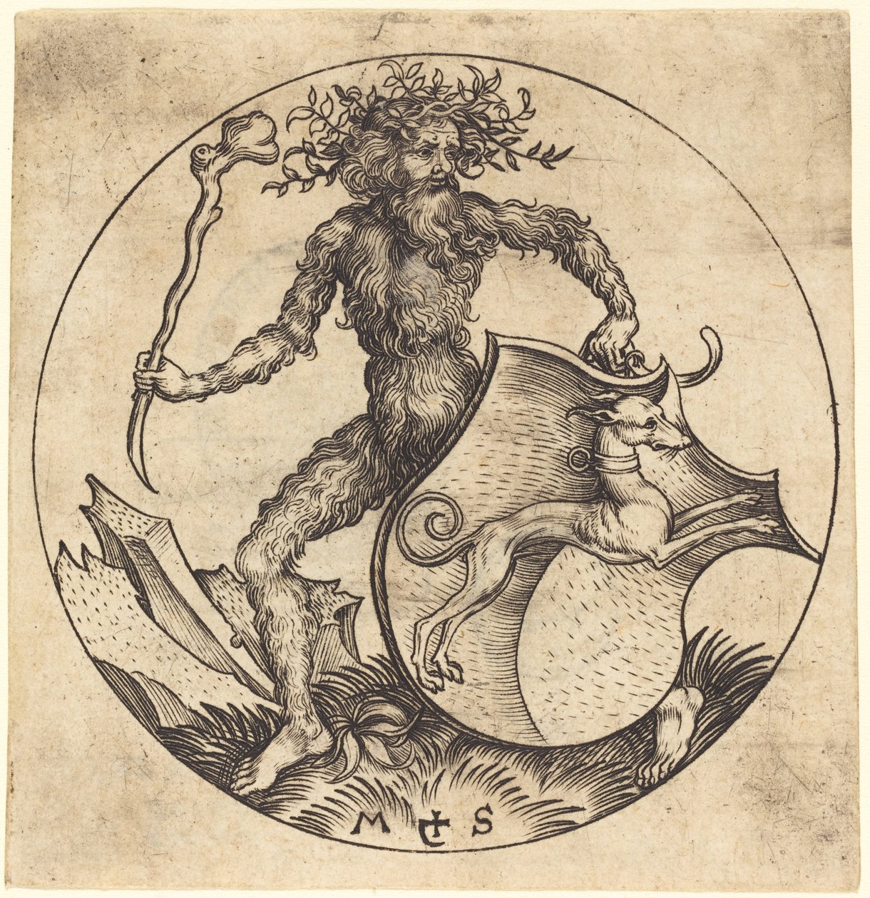 Homem selvagem segurando um escudo com um galgo de Martin Schongauer