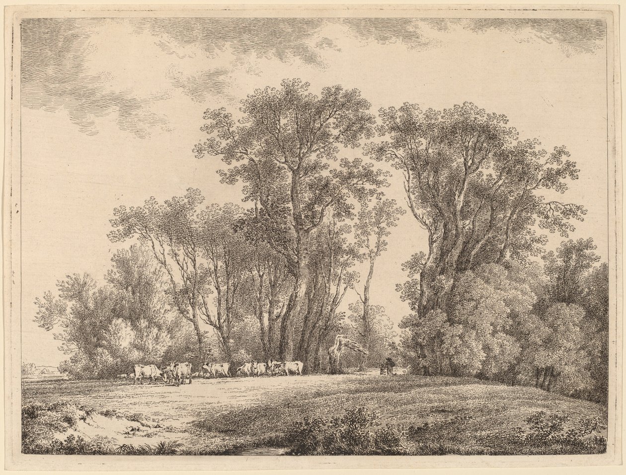 Um prado com gado na borda de uma floresta de Martin von Molitor