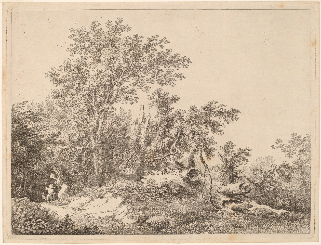 Paisagem com árvore quebrada de Martin von Molitor