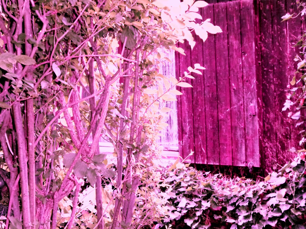 Na casa do jardim de Martina Konitzky