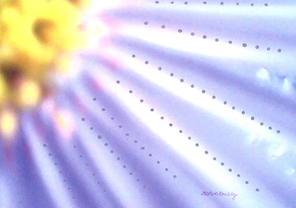 Flor-azul de Martina Konitzky