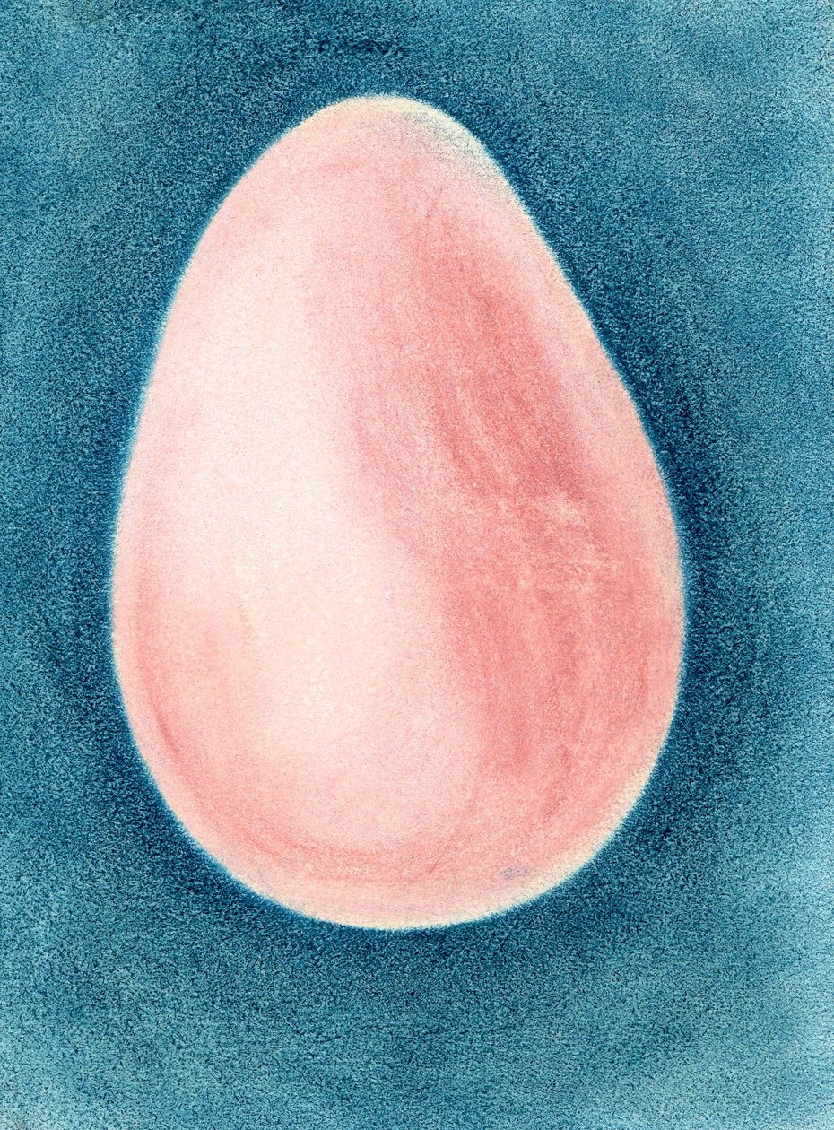 Ovo rosa de Martina Konitzky