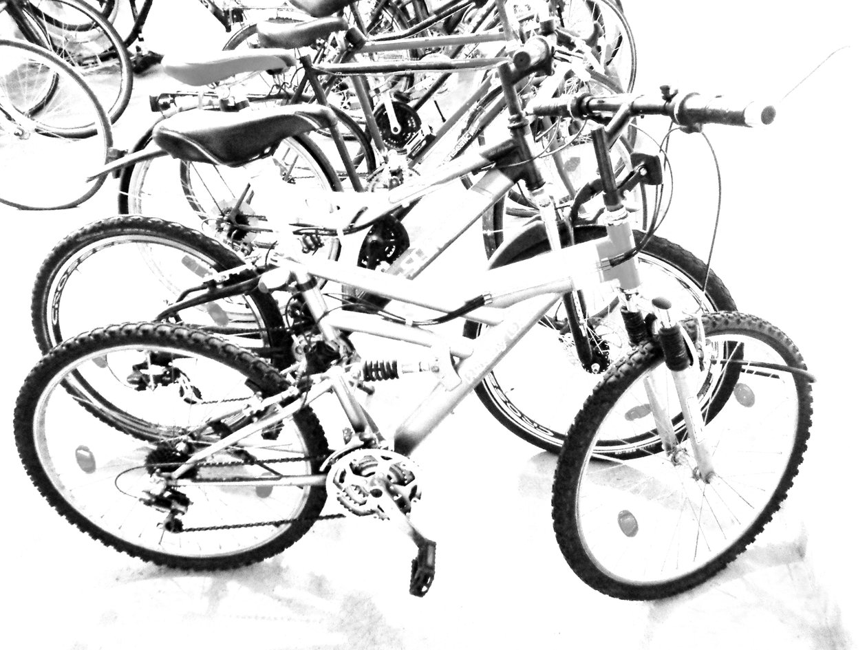 Bicicletas de Martina Konitzky