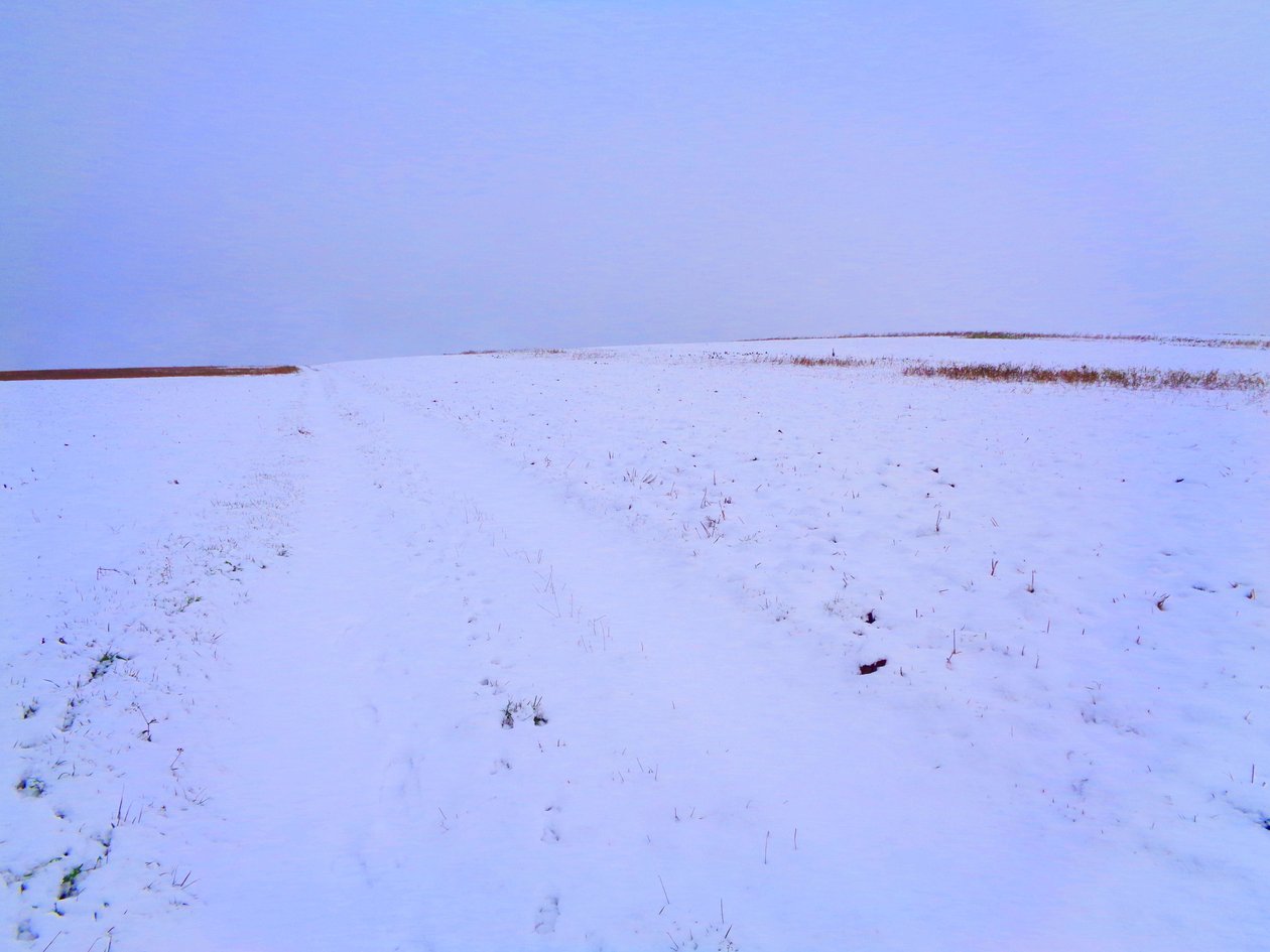 Campos no inverno de Martina Konitzky