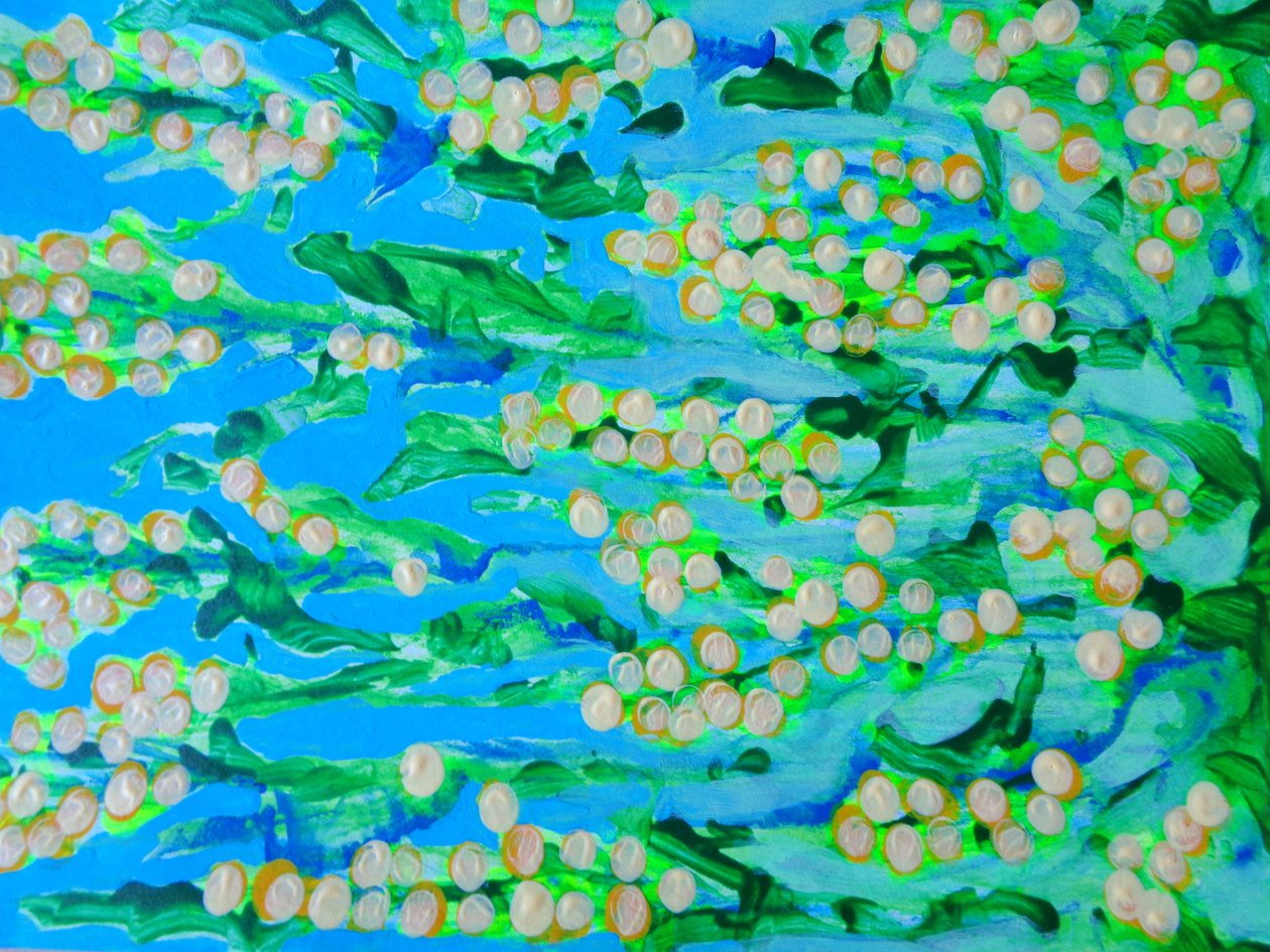 Flores1 de Martina Konitzky