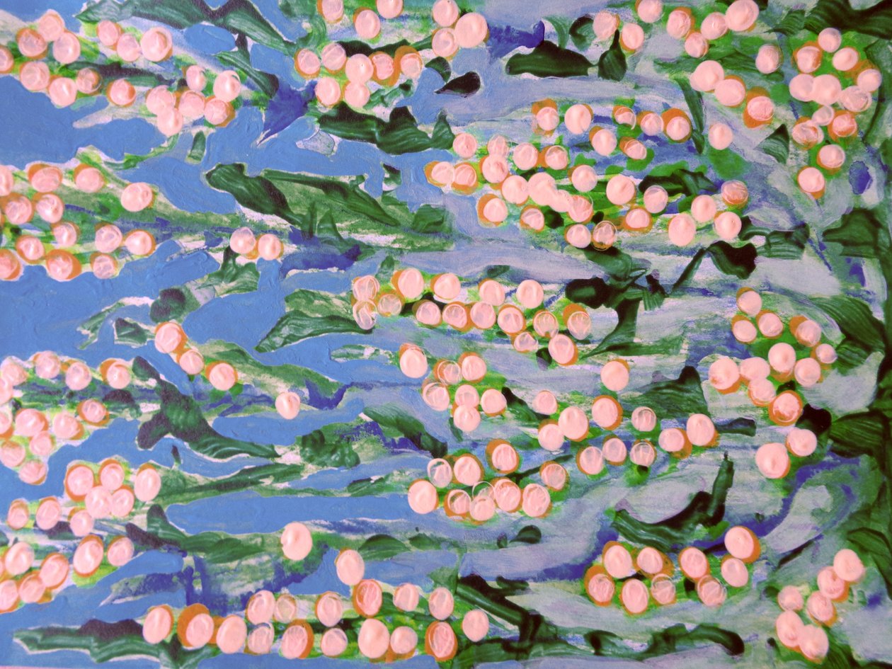 Flores de Martina Konitzky