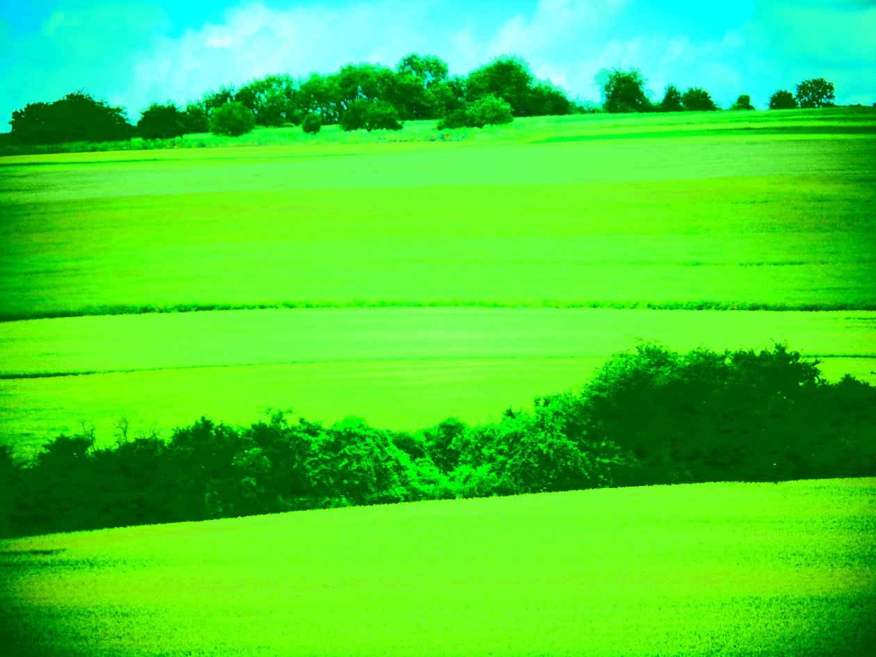 Verde Paisagem de Martina Konitzky