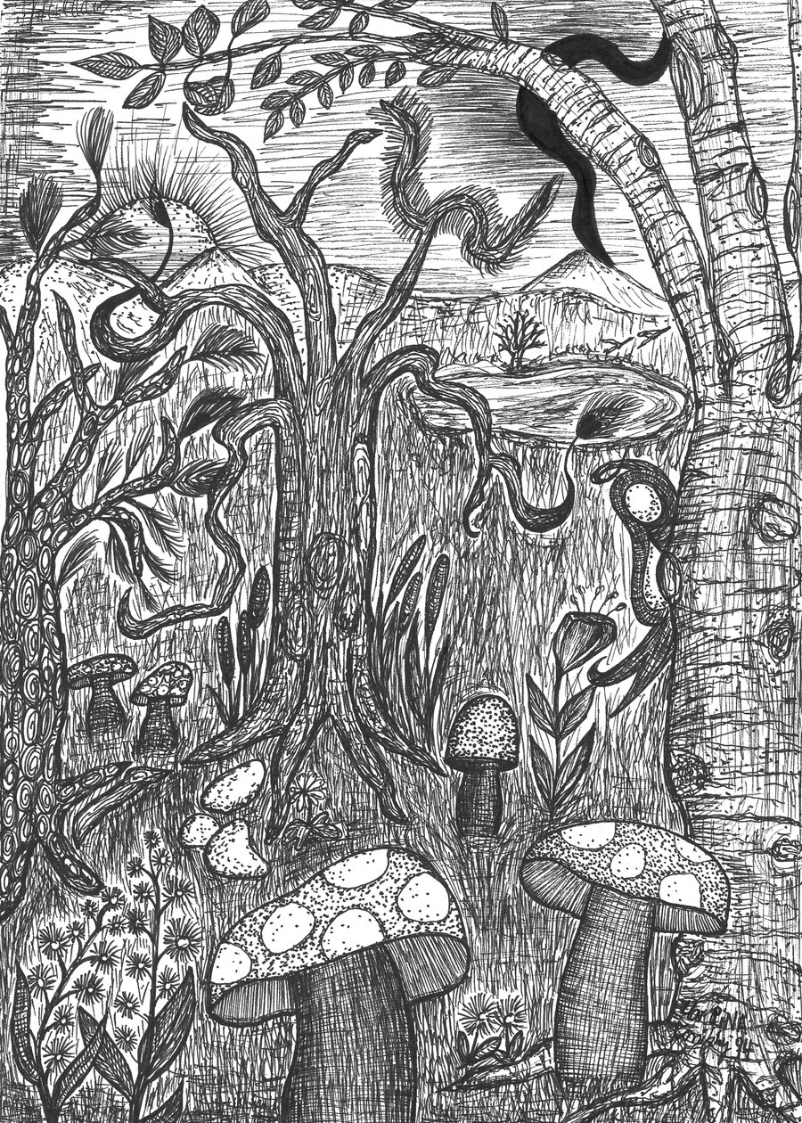 Paisagem com cogumelos de Martina Konitzky