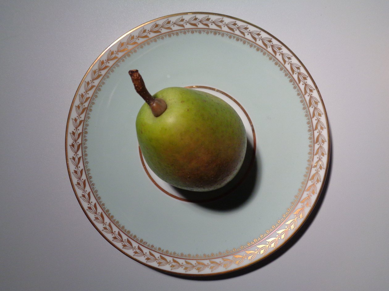 Porcelana Lorenz Hutschenreuther com pera de Martina Konitzky