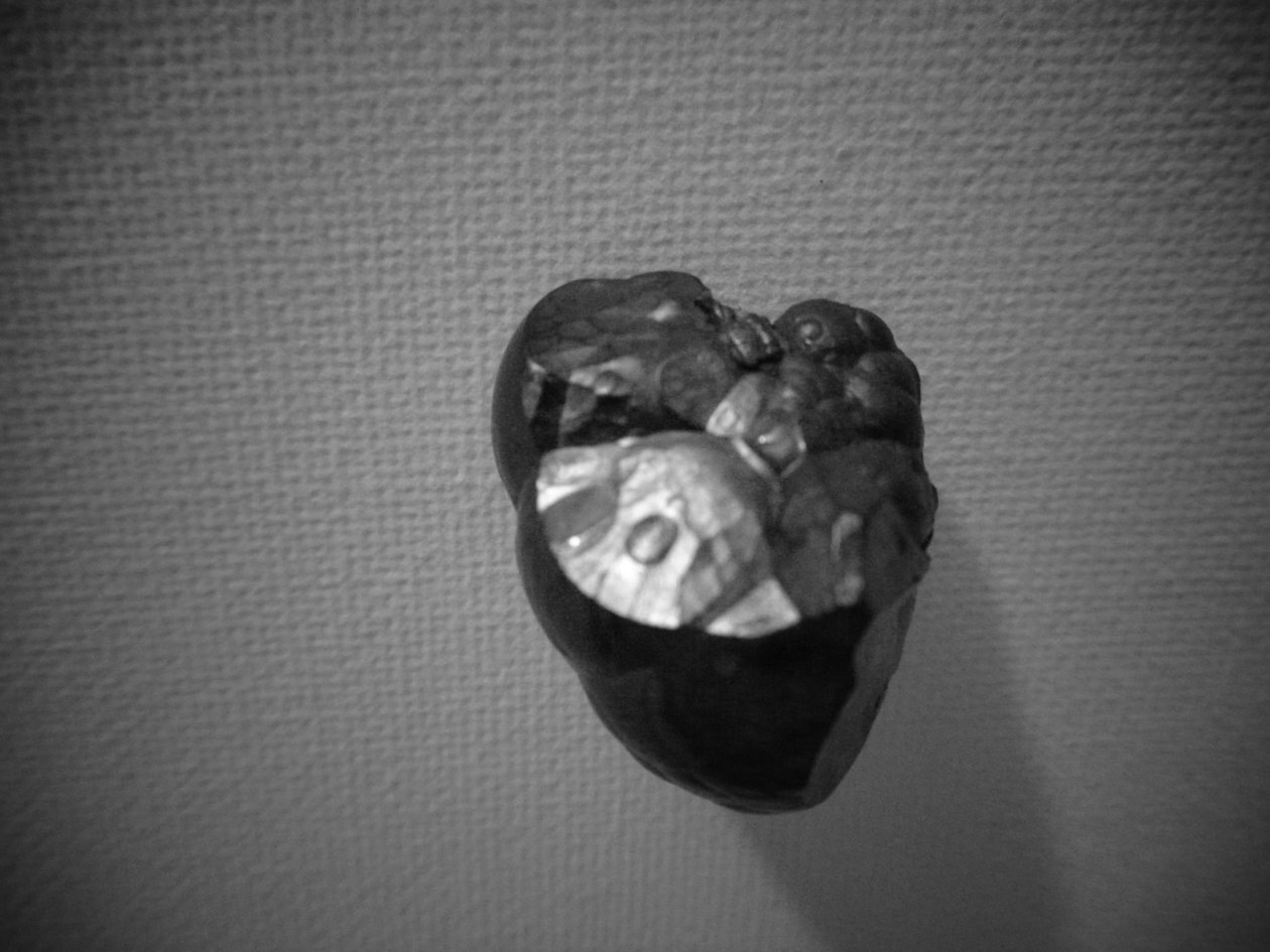 metal de Martina Konitzky