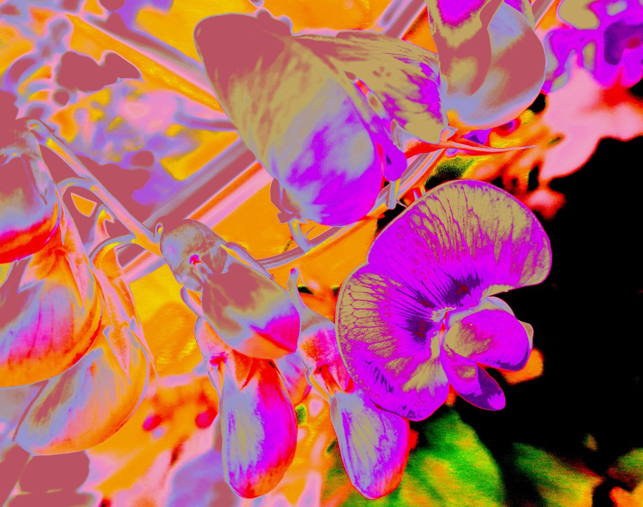 Sommerblumen de Martina Konitzky