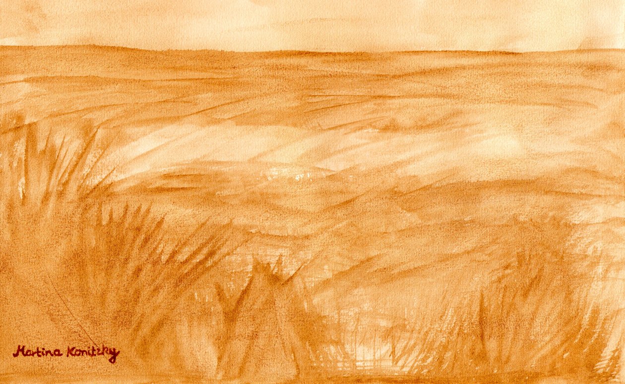 Sommerfelder de Martina Konitzky