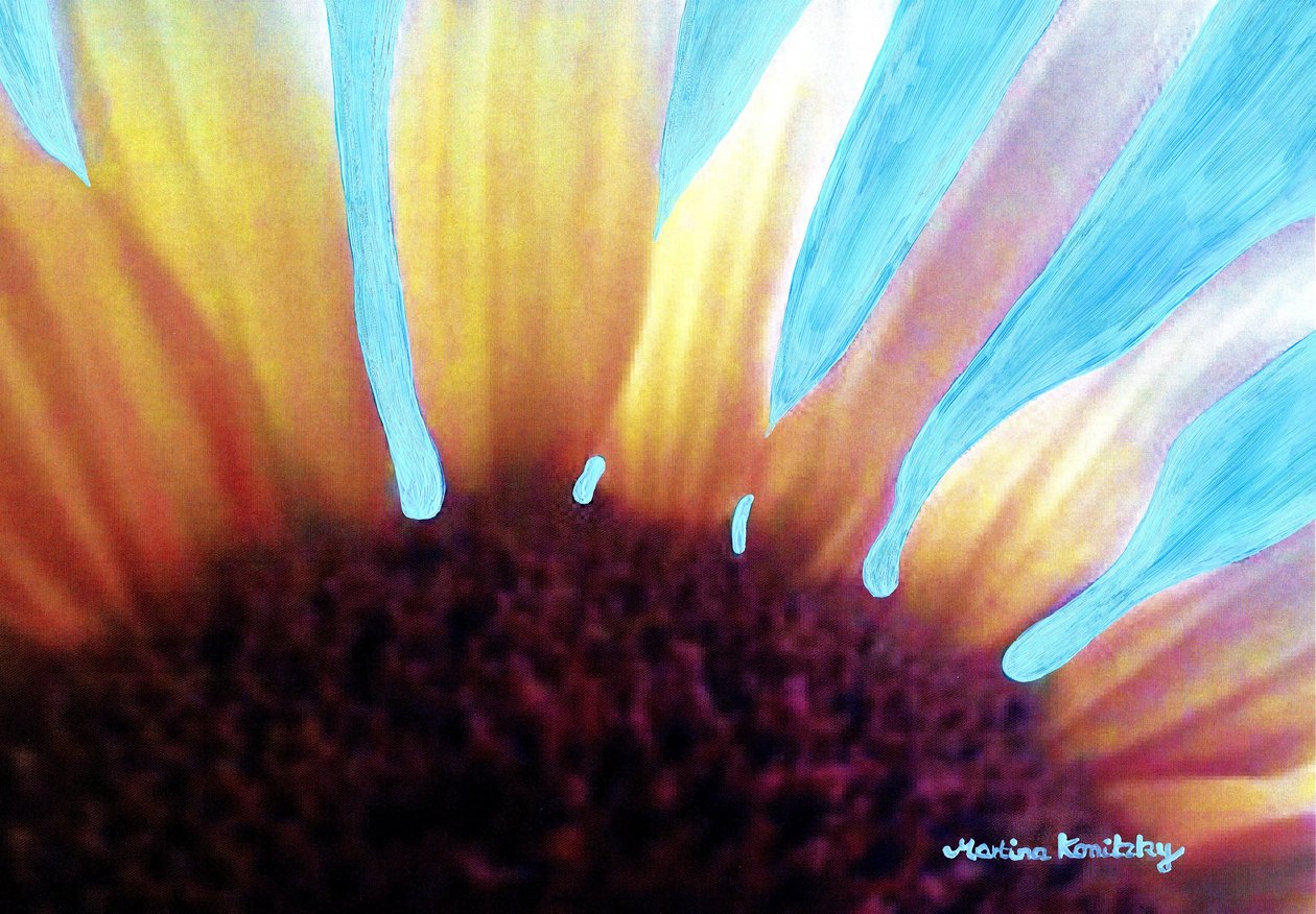 Girassol e céu de verão de Martina Konitzky