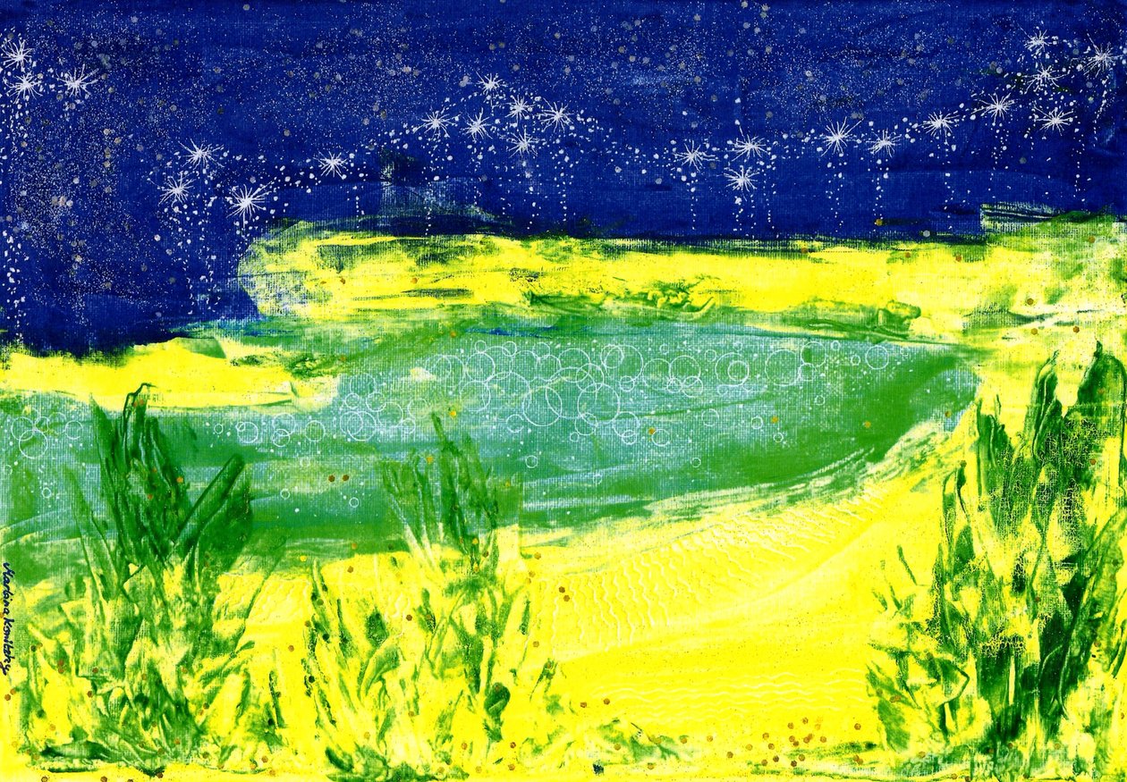 Céu estrelado sobre o lago de Martina Konitzky