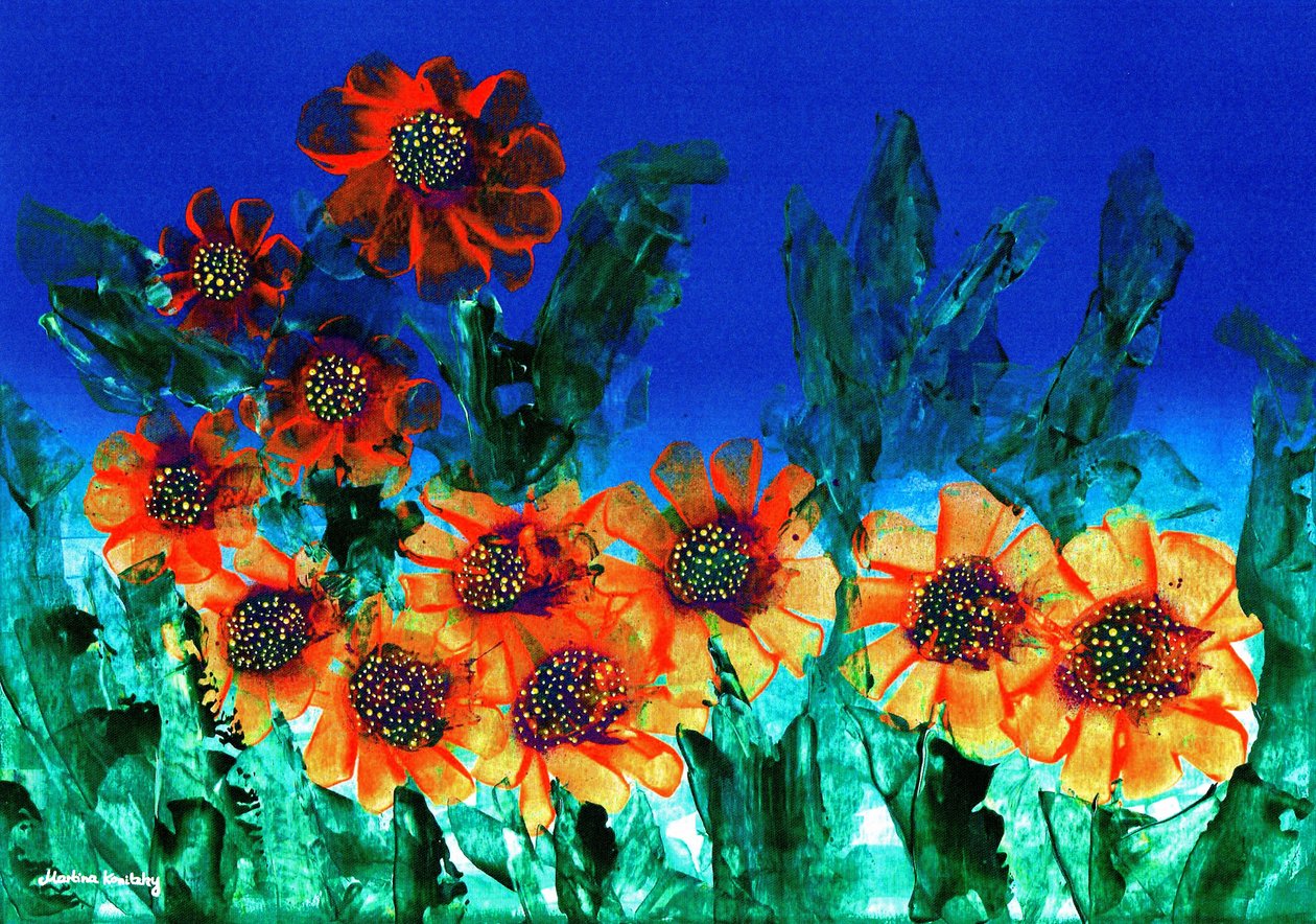 O céu azul escuro de Martina Konitzky