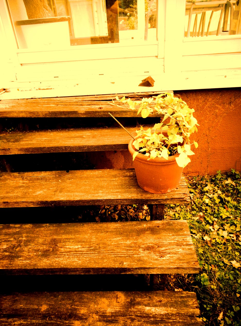 Verandatreppe de Martina Konitzky