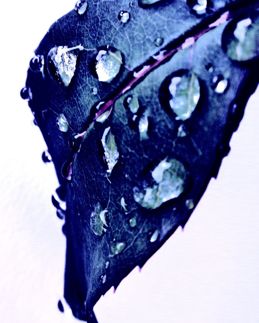 Gota de água azul de Martina Konitzky