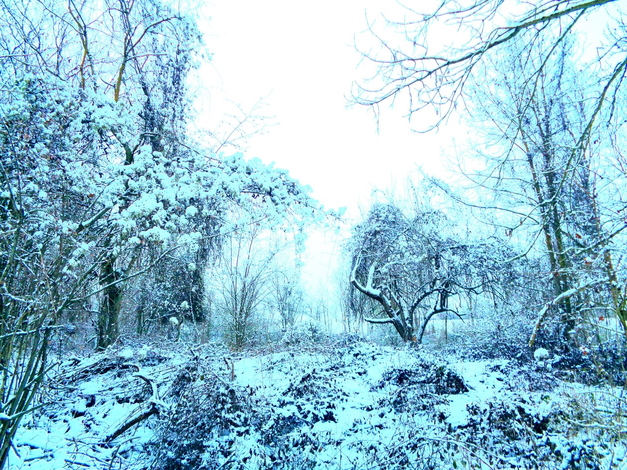 Azul inverno de Martina Konitzky
