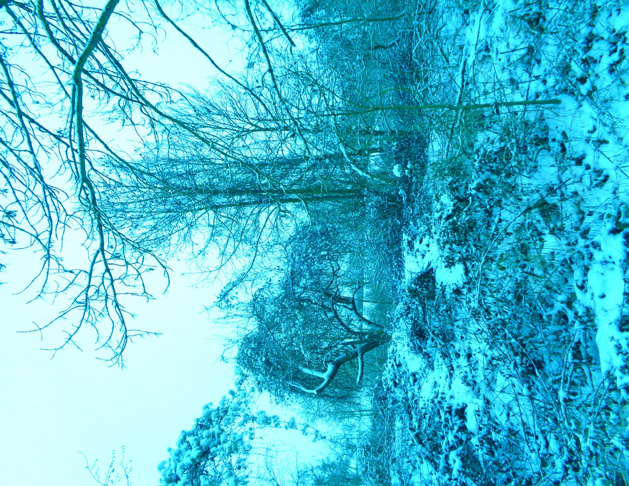 Azul inverno de Martina Konitzky